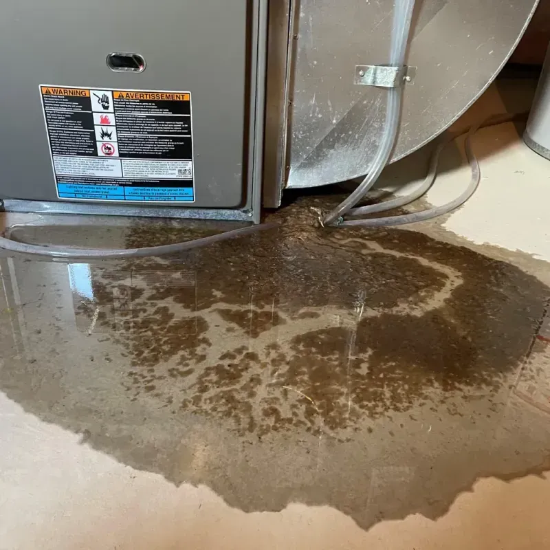 Appliance Leak Cleanup in Miami Shores, FL